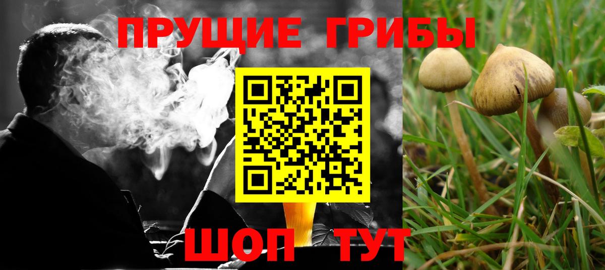 Кирово-Чепецк  Галлюциногенные грибы GOLDEN TEACHER  Вход с VPN 